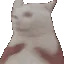 shakebb shakebb