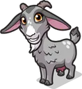 Goat4Lily