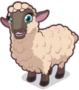 Sheep2Dolly