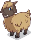 Sheep3Rosie