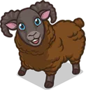 Sheep4Mabel