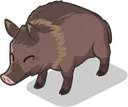 TrufflePig2Buck