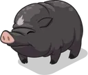 TrufflePig4Elvis
