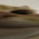 <:widesilence3:1294745488251289733>
