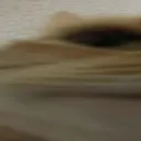 widesilence1