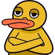 qwizicUnimpressed