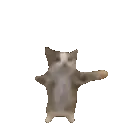 yaepi