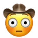 FlusteredCowboy