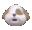 bark