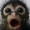 gasp