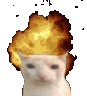 boomcat animated emote from ChekoVerse