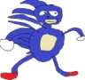sanic sanic