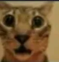EhEhEyyy