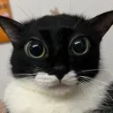 emoji_46