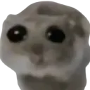 sadHamster