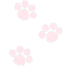 pinkpaws