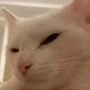 Side_Eye