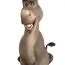 donkey4