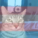 ponder_trans ponder_trans