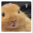 Confusion