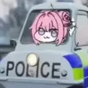 doropolice