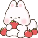 foxappol
