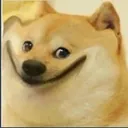 sus_kutta