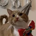 partykibby
