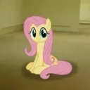 sitting_fluttershy
