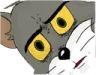 wtf