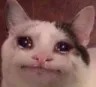 sadcat sadcat