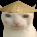 catsricehat