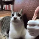 thumbsup