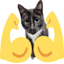 73_1_catmuscle