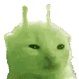 Glorpspin