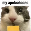 apolocheese
