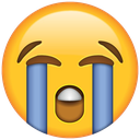crying Discord emoji