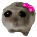 sad