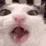 hexrt_eating