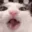 hexrt_eating