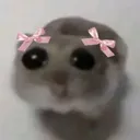 cute