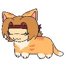 cattodd2