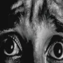 fear