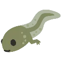 froggybaba