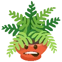 sheeshfern