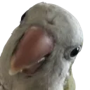 tychoDerp tychoDerp