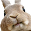 :emoji_43: emoji_43