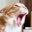 car_yawningoye