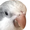 maxHmm