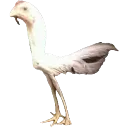 emoji_2